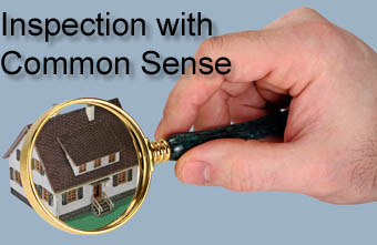 Inspection with Common Sense